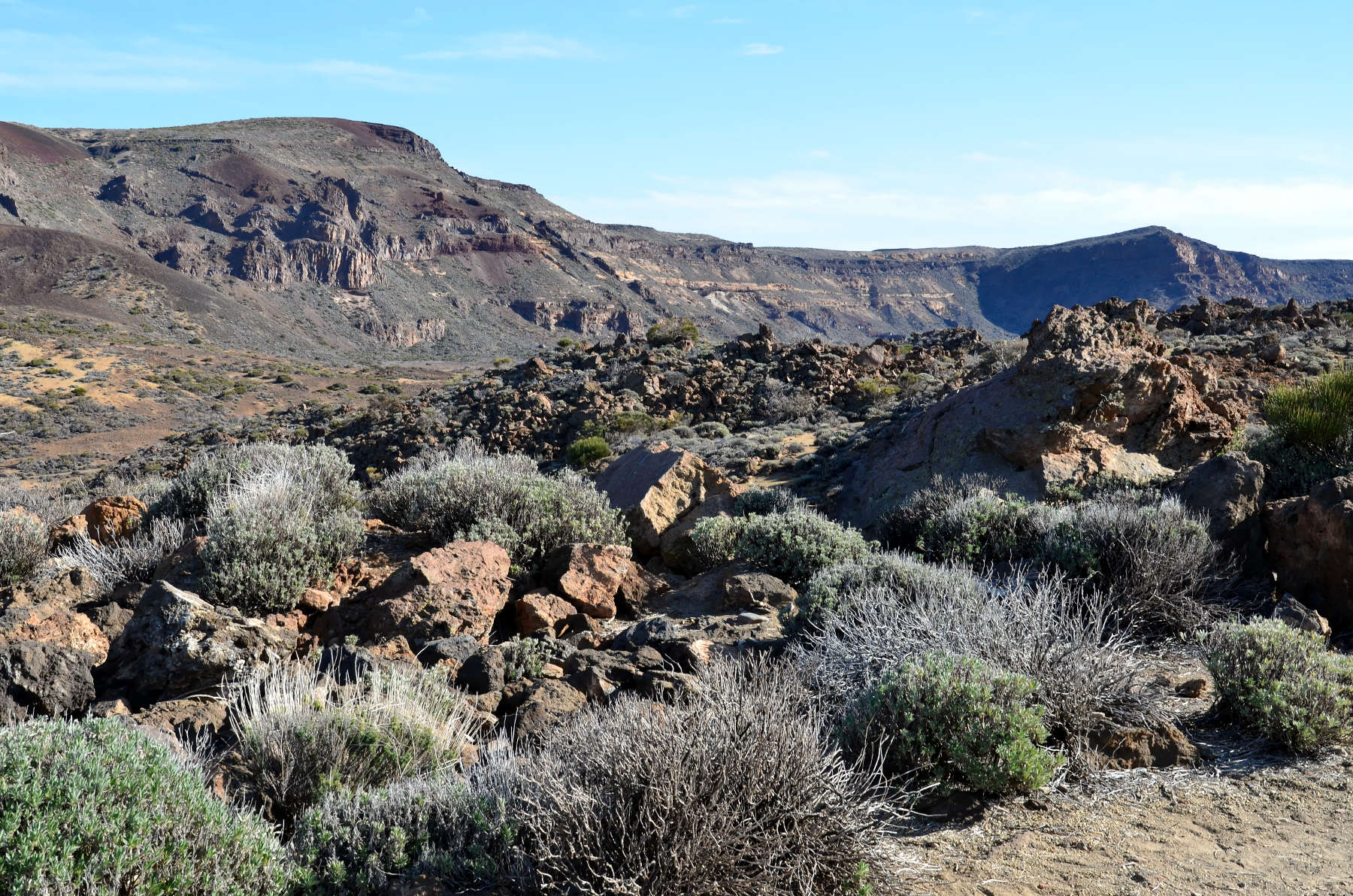 Teide National Park, Tenerife